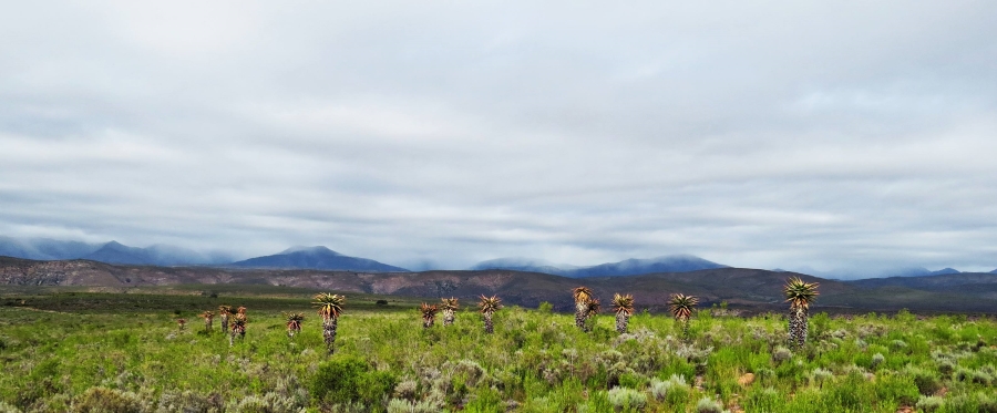 3 Bedroom Property for Sale in Joubertina Eastern Cape